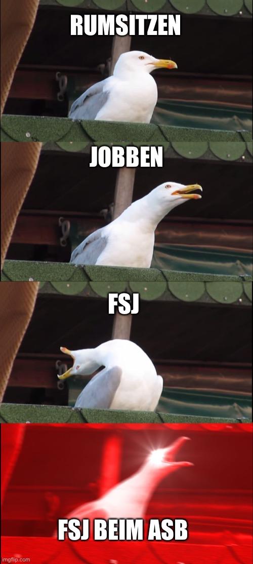 FSJ Meme 00007.jpeg